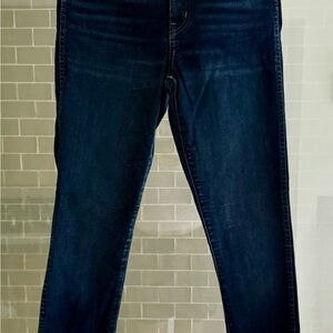 Madewell Women's 10” High Rise Skinny Jeans in Dark Blue Wash